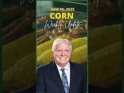 ✅ Watch the Corn Market Update before the USDA Supply/Demand Report // #advancetrading #shorts