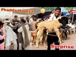 Bakra Mandi mian Phadda Hogya🤬 Eid Ky Leay Shippu Le Liya😍