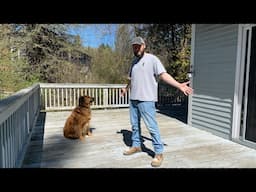 Work with me (and Koda) LIVE on this beautiful day!