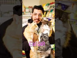 This Eid, give your pets the love they deserve with our premium pet food, cozy beds. #cat #kitten