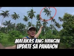 SOBRANG MALAKAS ANG HANGIN. BUTI NALANG SUMABAY ANG MGA TANIM.