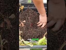 How to Grow and Harvest Sweet Potatoes in Containers! 🍠 Easy Step-by-Step Guide