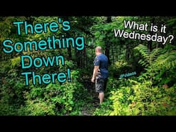 I FOUND SOMETHING in These Woods... What is it Wednesday?