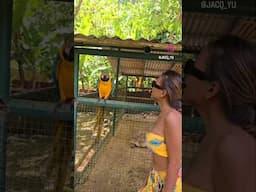 A day at the Aviary Bird Sanctuary in Balesin 🦜