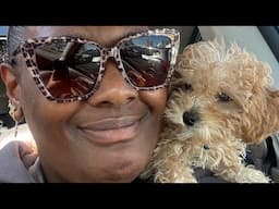 VLOG: NALLA’S SCHOOL DANCE, MENTAL HEALTH UPDATE, BUILD-A-BEAR & BIG NEWS!