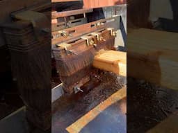 Best way to stain a fence and have no overspray! #overspay #fencestain  #cedarfence #fence
