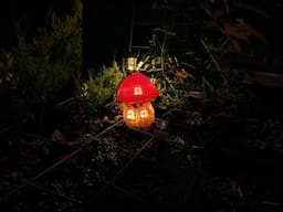 Fairy Garden part 1