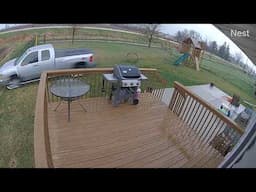 Central City man drives truck through two Marion, Iowa yards
