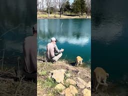 Dirty old pond dog is scaring my fish away! 🤨