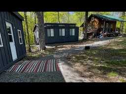 Spring has sprung at the off grid cabin in the woods!