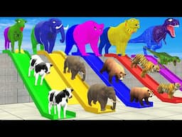 DON’T CHOOSE THE WRONG SLIDE !!
