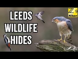 Capturing Stunning Birds at Leeds Wildlife Hide | Nikon Z9 & Z400mm f/2.8 TC