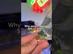 Why would I spend $15 on a leaf??