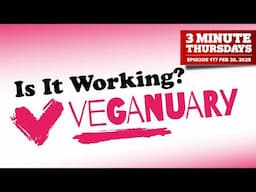 Veganuary or Seaquest - Which One Is CLOSING?!