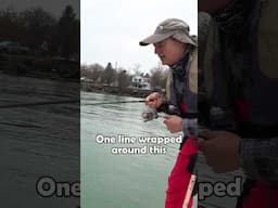 Walleye escape artist