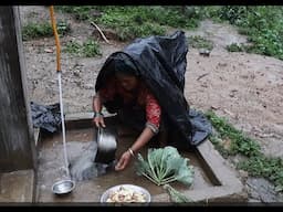 Traditional organic village documentary of rainy season in village || Organic village life