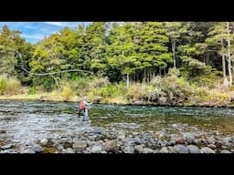 Fly Fishing for 20"+ Trout