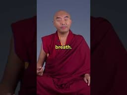 Grow and Transform Until the Last Breath! – Lessons from Death