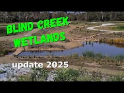 Nature Walk 2025 | Blind Creek wetlands UPDATE