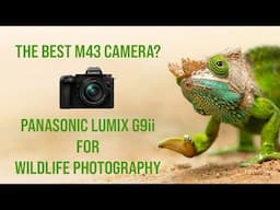 Panasonic Lumix G9ii - Wildlife Photography Review