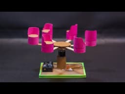 Science Project | Amusement Park Ride