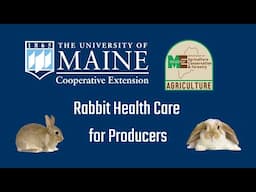 Rabbit Health Care for Producers