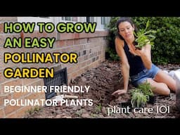 How To Grow An Easy Pollinator Garden - Coneflower, Yarrow, Black-Eyed Susan & Salvia Plant Care 101