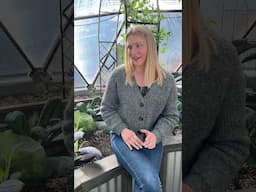 Garden Conversations: Carrie the Carrot