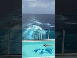 BEST Stress Reliever!  #cruise #cruisevacation #cruising