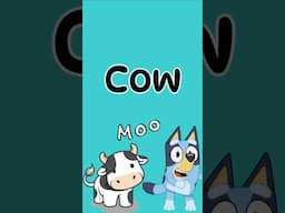 Bluey ABC - C is For COW! 🐄 #bluey #ABC #kidssong #abckids