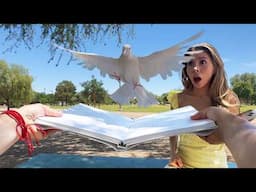 POV Day in the Life of a MAGICIAN