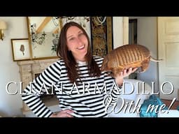 How to CLEAN YOUR TAXIDERMY 🫣 OUR Italian Villa 🏰