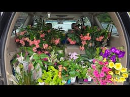 So Many New Plants For Summer Planting