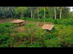 Buhay Probinsya Pag Luluto Ng Pork Adobo At Gulay | Binatang Pinoy