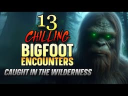13 CHILLING BIGFOOT ENCOUNTERS: CAUGHT IN THE WILDERNESS
