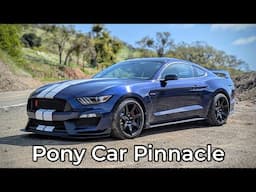 2018 Ford Shelby Mustang GT350R Review - Ultimate Muscle Car For Drivers?
