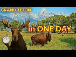 How to See Grand Teton National Park in ONE DAY (and make the most of it!)