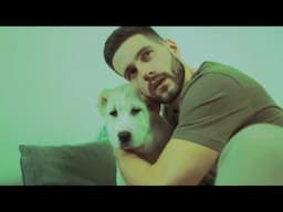 لو بتحب الكلاب.. لازم تسمع الفيديو دا قبل ما تربي كلب في بيتك !