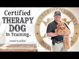 Why Did The Sheriff's Office Choose THIS Puppy for a Future Therapy Dog?