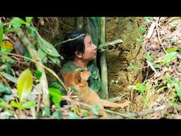 A Miraculous Rescue: The Moment of Reunion with the Dog, River Survival | EP.466