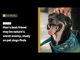 Man’s best friend may be nature’s worst enemy, study on pet dogs finds