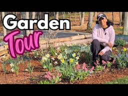 End of April Walkabout & Garden Tour || Budget Gardening
