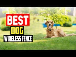 ✅Top 5 Best Wireless Invisible Dog Fence in 2025