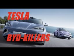 Will TESLA KILL: WAYMO and BYD?