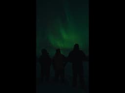Reaching for Light Trailer