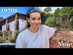 Transforming my EXTREMELY neglected garden