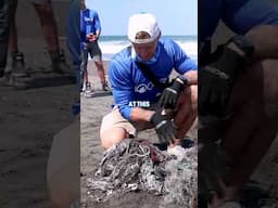 Why It's Important To Pull ALL Trash From The Ocean