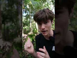 1 Minute Fish Trap Challenge! 🕐🐟 Can I Catch Anything? #challenge