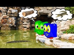 Log or Crocodile?! Duolingo Can’t Decide!