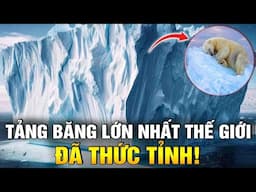 Tảng Băng Trôi Lớn Nhất Thế Giới Đã Tách Ra Và Trôi Dạt Về Phía Đại Tây Dương